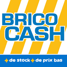 logo Brico cash