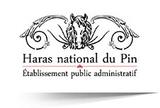 Logo haras national du Pin