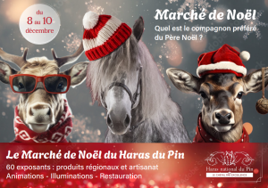 Visuel Marché de Noel 2023