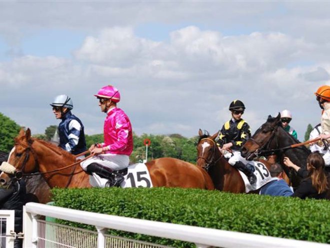 Courses hippiques - Haras national du Pin