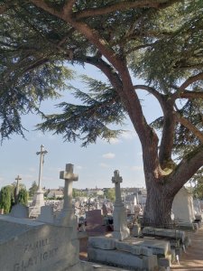 Cimetière Argentan