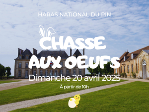 Chasse aux oeufs ATS (800 x 600 px) - Design - Option A