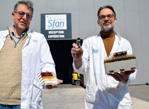 SFAN