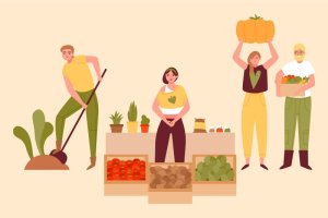 Marché bio à Argentan