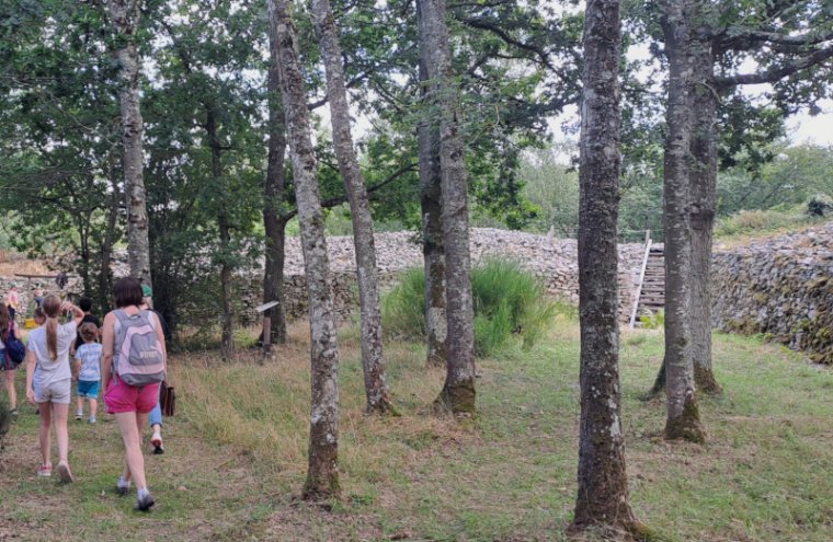 Visite guidée Camp celtique 800x600