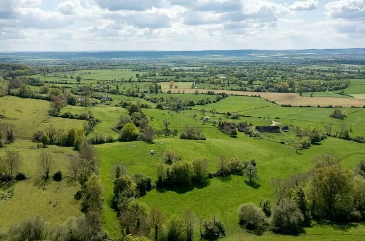 e0a88f7056334623939514ecae17980e.base.image