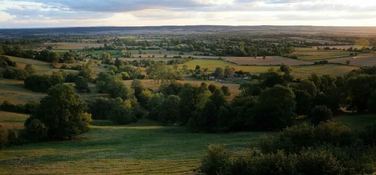 dbeef148f0044dddb5ab542a5094f6fc.base.image